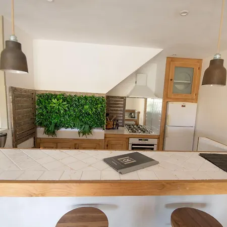 Location De Figuier Avec Jardin Barbecue Piscine Chauffee A Апартаменты *