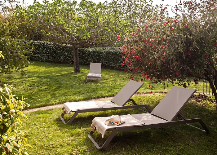 شقة Location De Figuier Avec Jardin Barbecue Piscine Chauffee A *