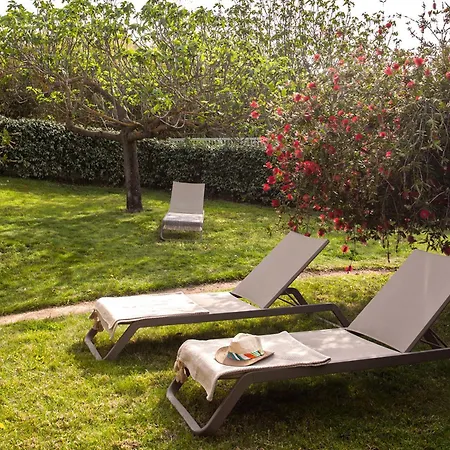 Lägenhet Location De Figuier Avec Jardin Barbecue Piscine Chauffee A *