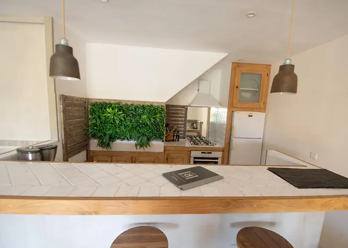 Location De Figuier Avec Jardin Barbecue Piscine Chauffee A Apartment *