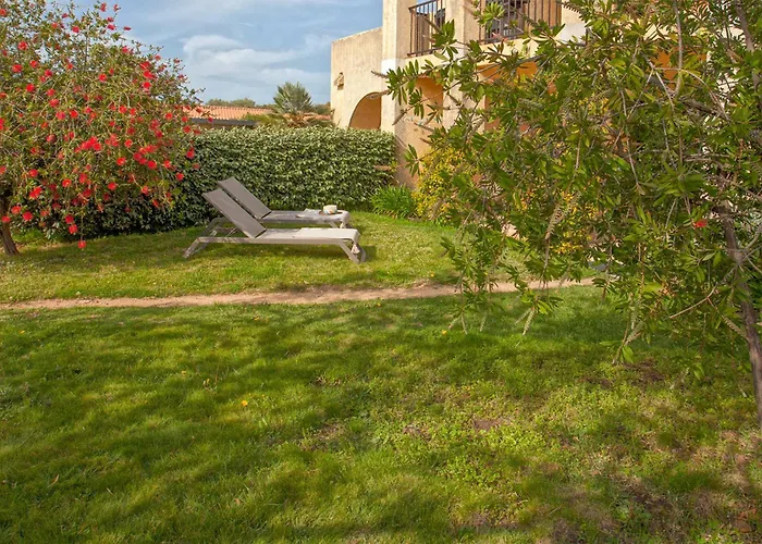 Apartment Location De Figuier Avec Jardin Barbecue Piscine Chauffee A Calvi (Corsica)